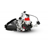 MOTORE ROTAX MINI MAX EVO 125cc